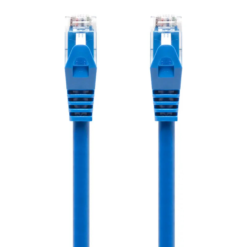blue-cat6-network-cable2