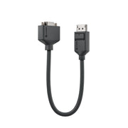 Elements DisplayPort to VGA Adapter - Male to Female - 20cm