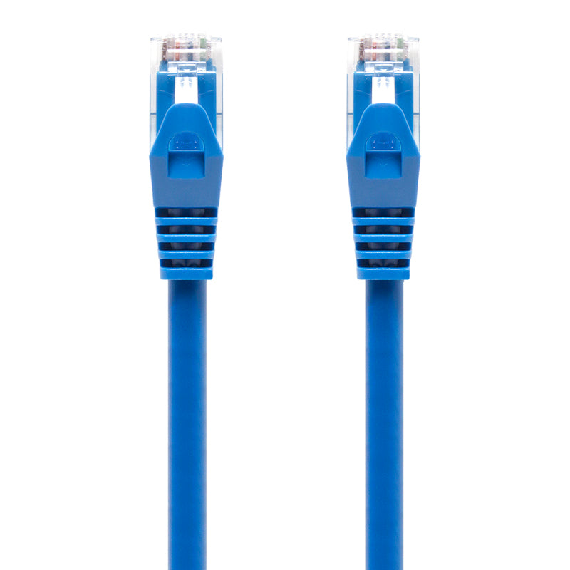 blue-cat6-network-cable2